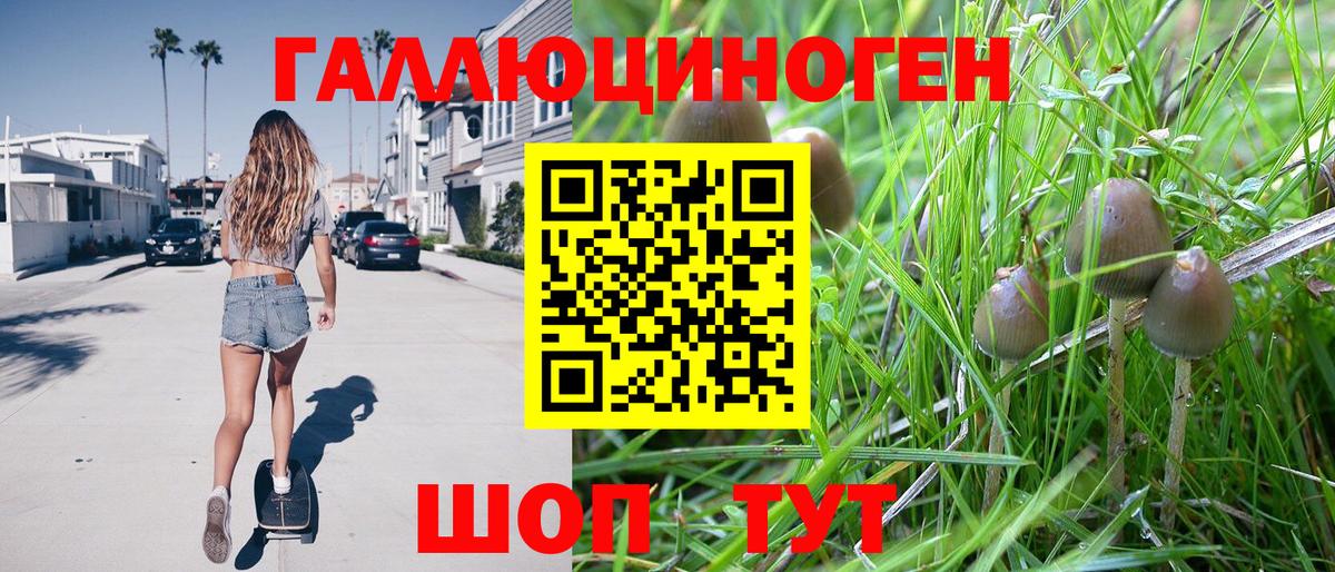 Псилоцибиновые грибы мицелий  Галлюциногенные грибы прущие грибы  Вход с VPN  Карталы 